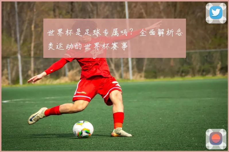 世界杯是足球专属吗?全面解析各类运动的世界杯赛事