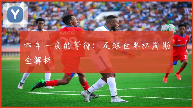 四年一度的等待:足球世界杯周期全解析